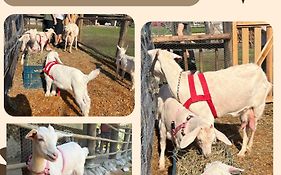 Pousada Rancho Texas Ubatuba